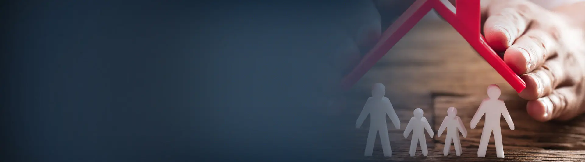 individual and company insurances